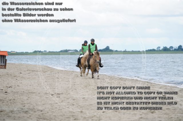 s_K3F05001.JPG